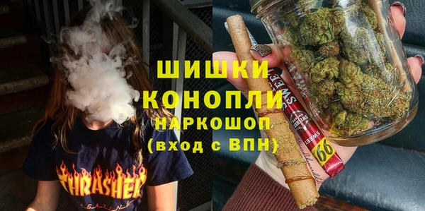 индика Алзамай