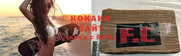 индика Алзамай