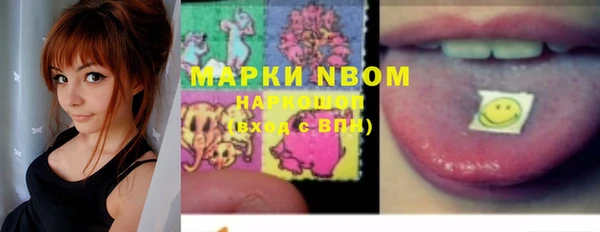 индика Алзамай
