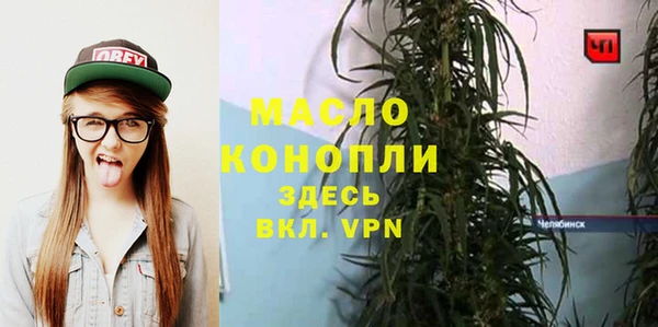 индика Кукмор