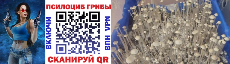 Галлюциногенные грибы MAGIC MUSHROOMS  Находка 