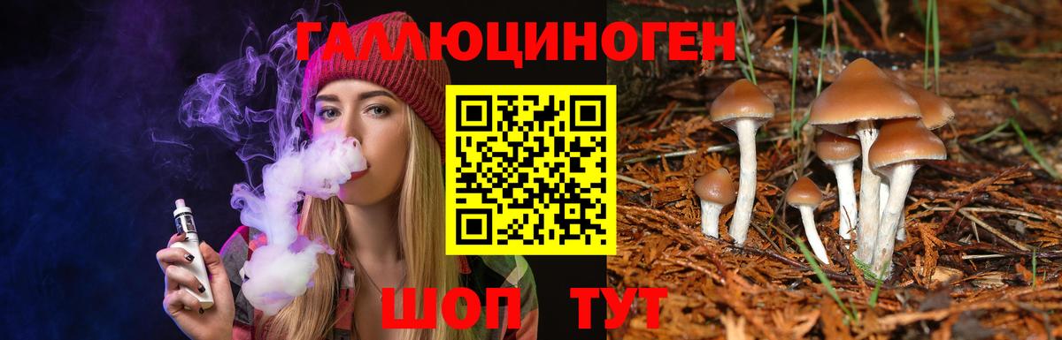 Псилоцибиновые грибы мицелий  Псилоцибиновые грибы Psilocybine cubensis  Находка  Вход с VPN 
